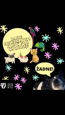 wp_story1639735382185_0